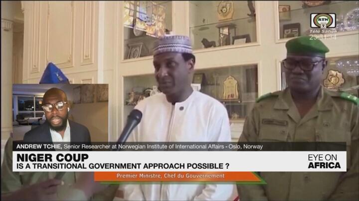 Is a transitional government approach possible in Niger?